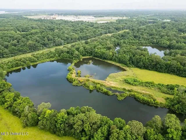 $1,550,000 | 299 West Mt Pleasant Zachary Road, Zachary, LA 70791