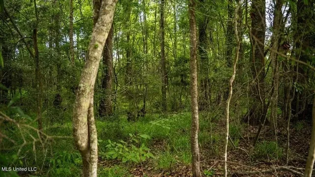 $1,550,000 | 299 West Mt Pleasant Zachary Road, Zachary, LA 70791