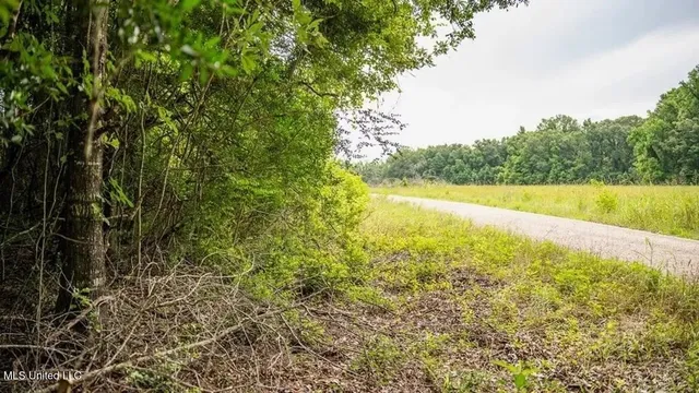 $1,550,000 | 299 West Mt Pleasant Zachary Road, Zachary, LA 70791