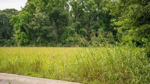 $1,550,000 | 299 West Mt Pleasant Zachary Road, Zachary, LA 70791