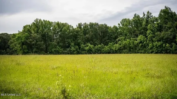 $1,550,000 | 299 West Mt Pleasant Zachary Road, Zachary, LA 70791