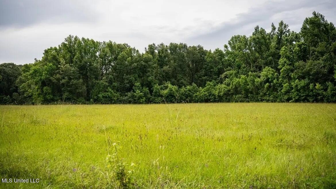 299 West Mt Pleasant Zachary Road Zachary, LA 70791 - Photo 24 of 33 1-5859662807