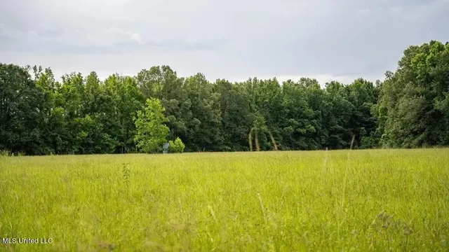 $1,550,000 | 299 West Mt Pleasant Zachary Road, Zachary, LA 70791