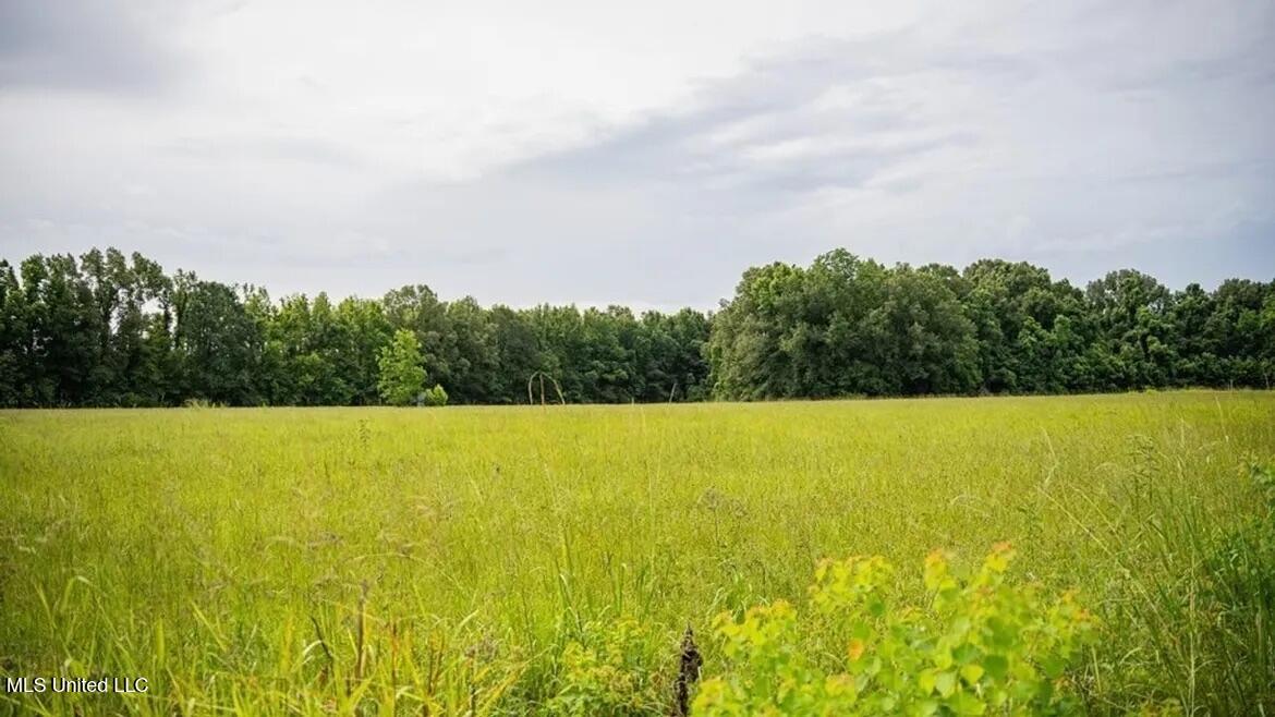 299 West Mt Pleasant Zachary Road Zachary, LA 70791 - Photo 26 of 33 1-5859662812