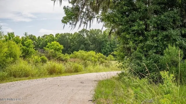 $1,550,000 | 299 West Mt Pleasant Zachary Road, Zachary, LA 70791