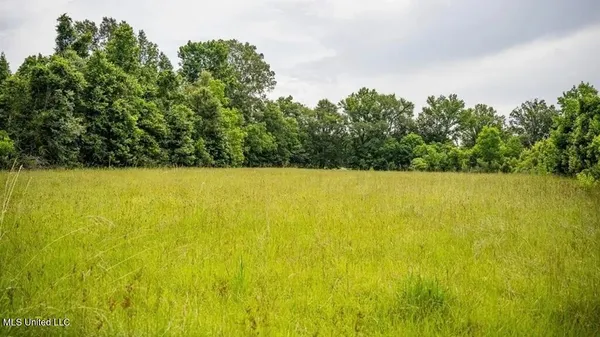 $1,550,000 | 299 West Mt Pleasant Zachary Road, Zachary, LA 70791