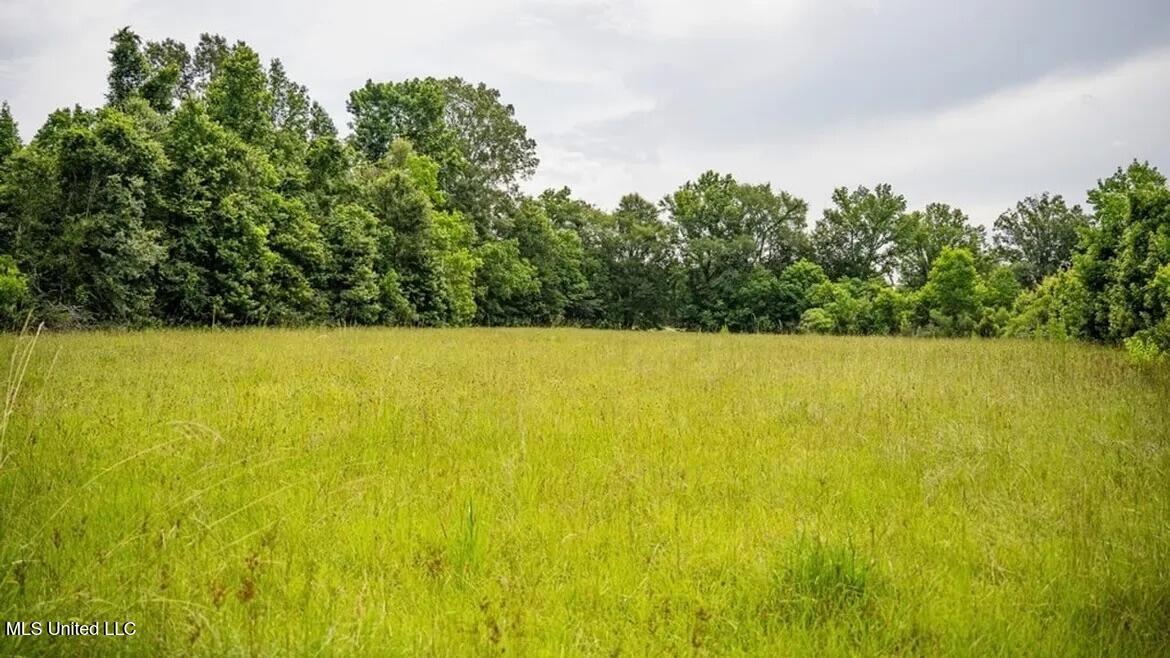 299 West Mt Pleasant Zachary Road Zachary, LA 70791 - Photo 28 of 33 1-5859662819