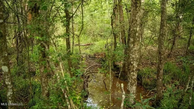 $1,550,000 | 299 West Mt Pleasant Zachary Road, Zachary, LA 70791