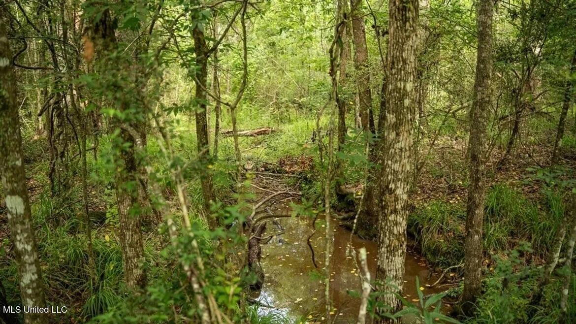 299 West Mt Pleasant Zachary Road Zachary, LA 70791 - Photo 29 of 33 1-5859662821