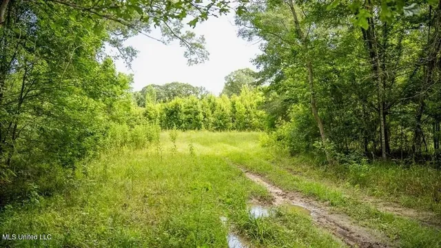 $1,550,000 | 299 West Mt Pleasant Zachary Road, Zachary, LA 70791