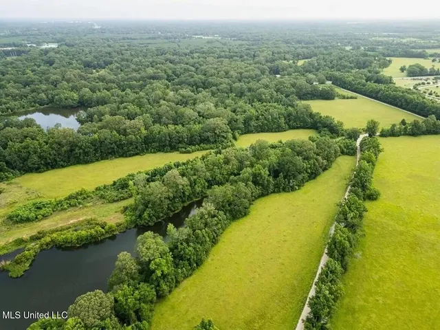 $1,550,000 | 299 West Mt Pleasant Zachary Road, Zachary, LA 70791