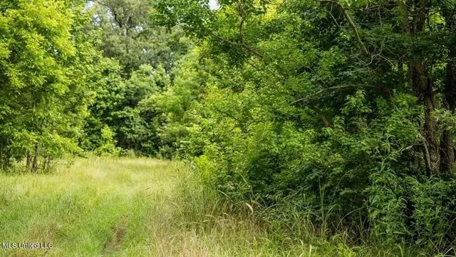 $1,550,000 | 299 West Mt Pleasant Zachary Road, Zachary, LA 70791