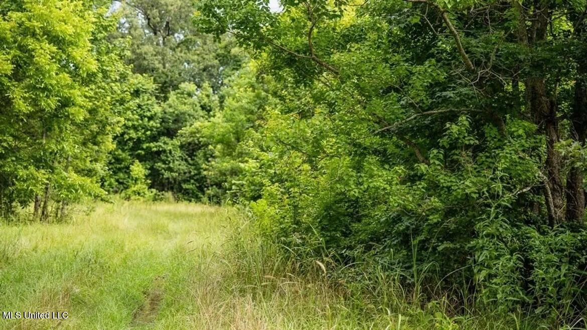 299 West Mt Pleasant Zachary Road Zachary, LA 70791 - Photo 31 of 33 1-5859662828