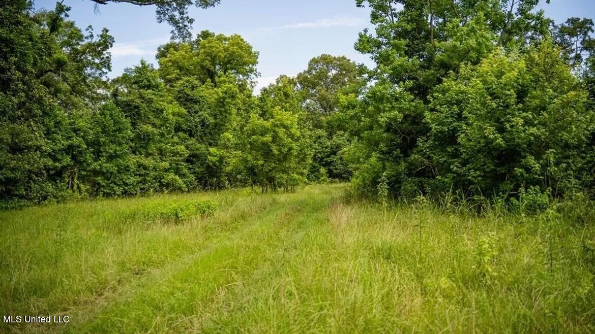 299 West Mt Pleasant Zachary Road Zachary, LA 70791 - Photo 32 of 33 1-5859662831