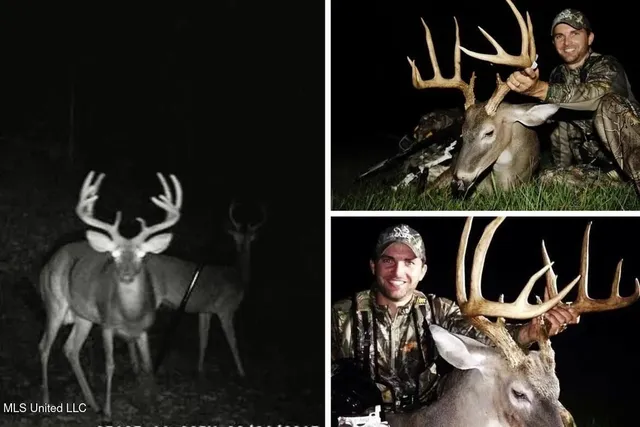 $1,550,000 | 299 West Mt Pleasant Zachary Road, Zachary, LA 70791