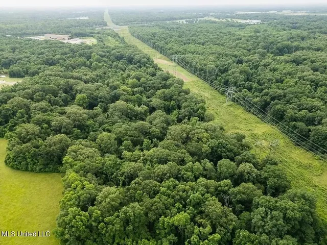 $1,550,000 | 299 West Mt Pleasant Zachary Road, Zachary, LA 70791