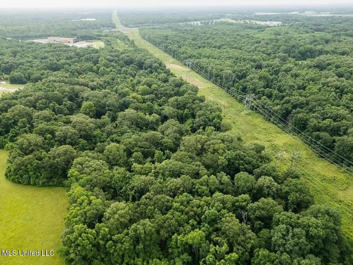 299 West Mt Pleasant Zachary Road Zachary, LA 70791 - Photo 4 of 33 1-5859662694