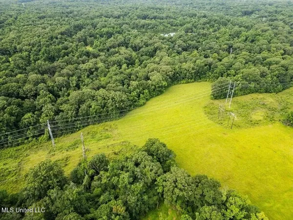 $1,550,000 | 299 West Mt Pleasant Zachary Road, Zachary, LA 70791