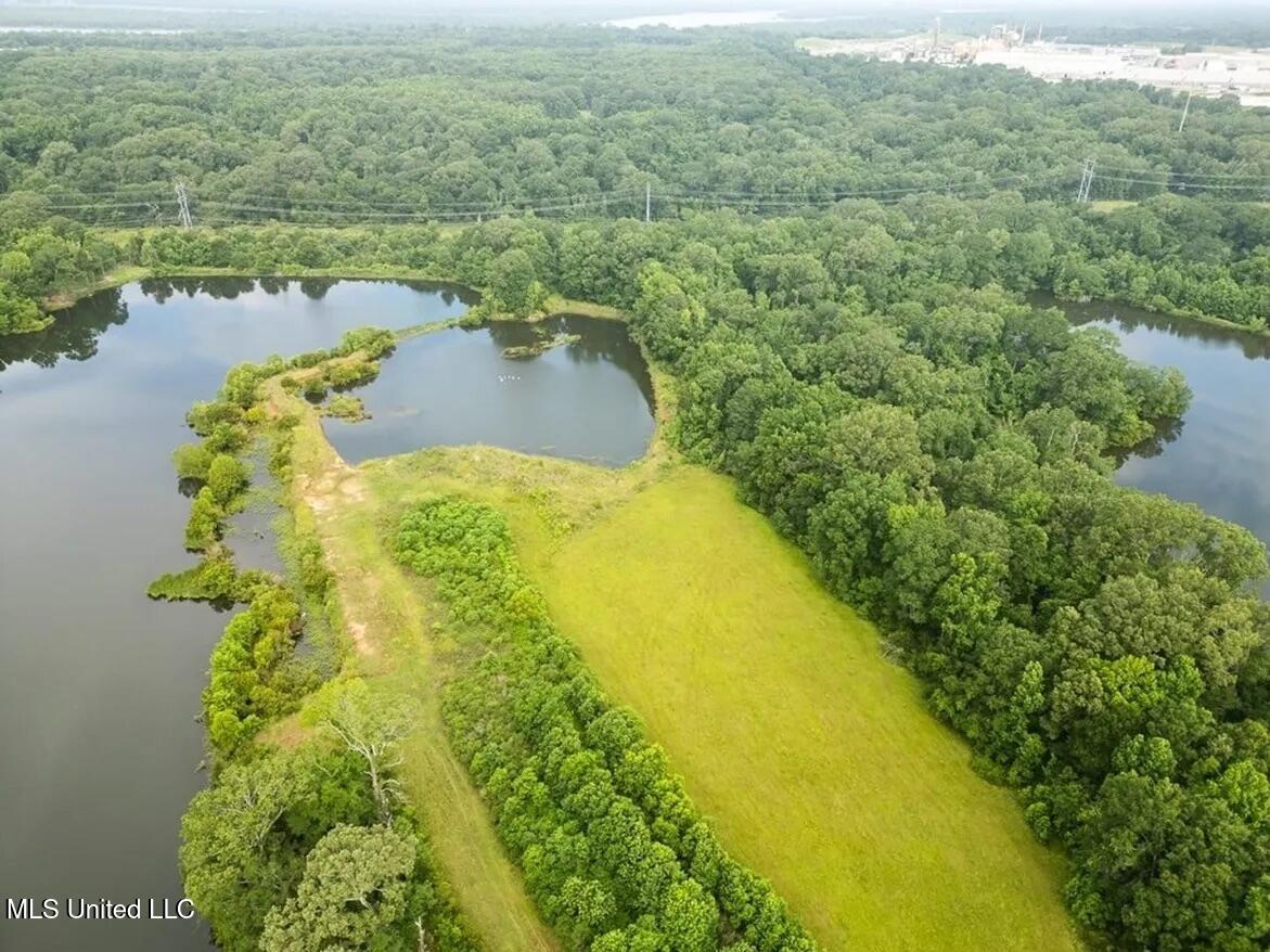 299 West Mt Pleasant Zachary Road Zachary, LA 70791 - Photo 6 of 33 1-5859662711