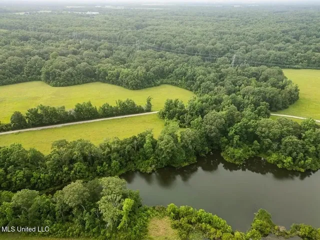 $1,550,000 | 299 West Mt Pleasant Zachary Road, Zachary, LA 70791