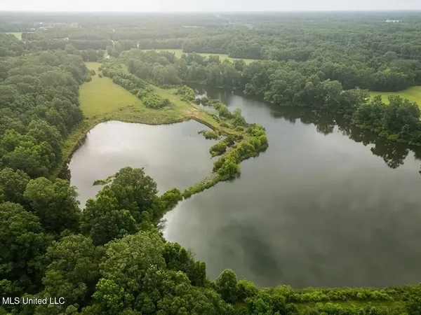 $1,550,000 | 299 West Mt Pleasant Zachary Road, Zachary, LA 70791