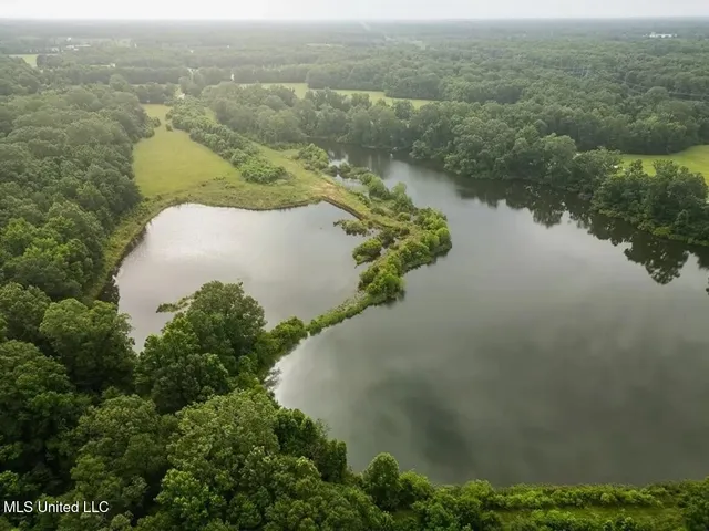 $1,550,000 | 299 West Mt Pleasant Zachary Road, Zachary, LA 70791