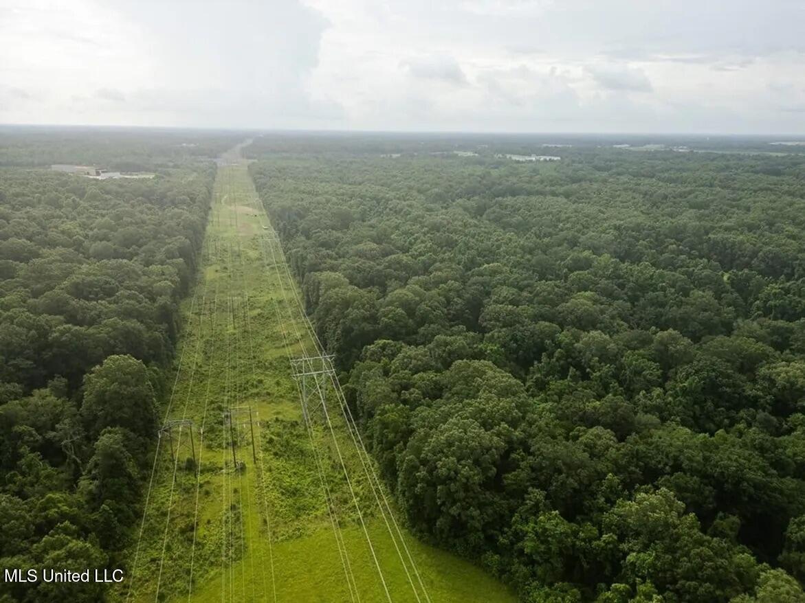 299 West Mt Pleasant Zachary Road Zachary, LA 70791 - Photo 9 of 33 1-5859662739