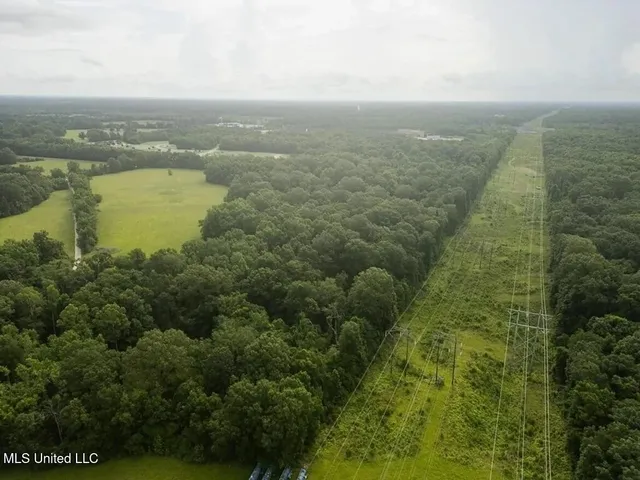 $1,550,000 | 299 West Mt Pleasant Zachary Road, Zachary, LA 70791