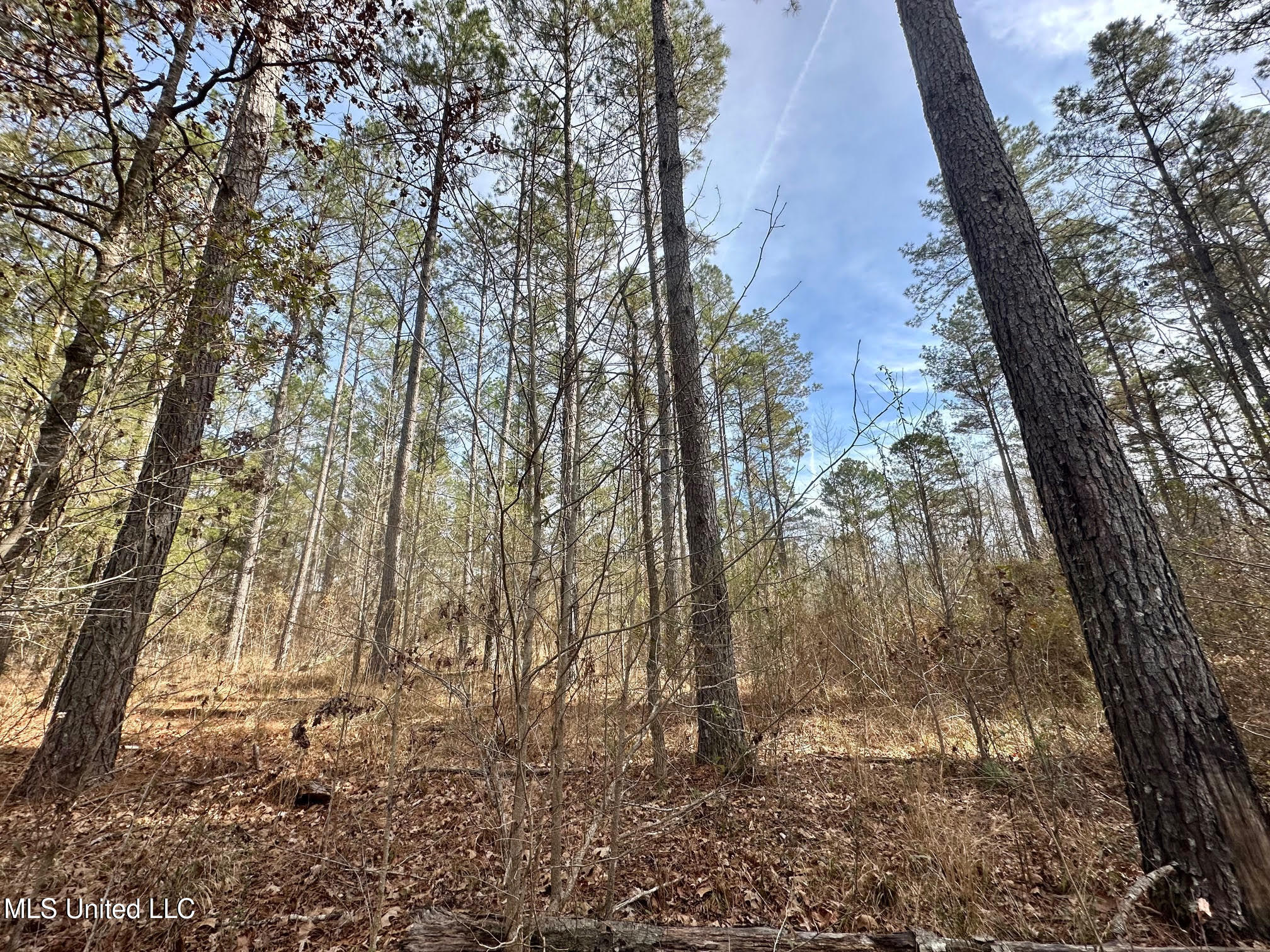 2 Dry Grove Road Terry, MS 39170 - Photo 9 of 24 510