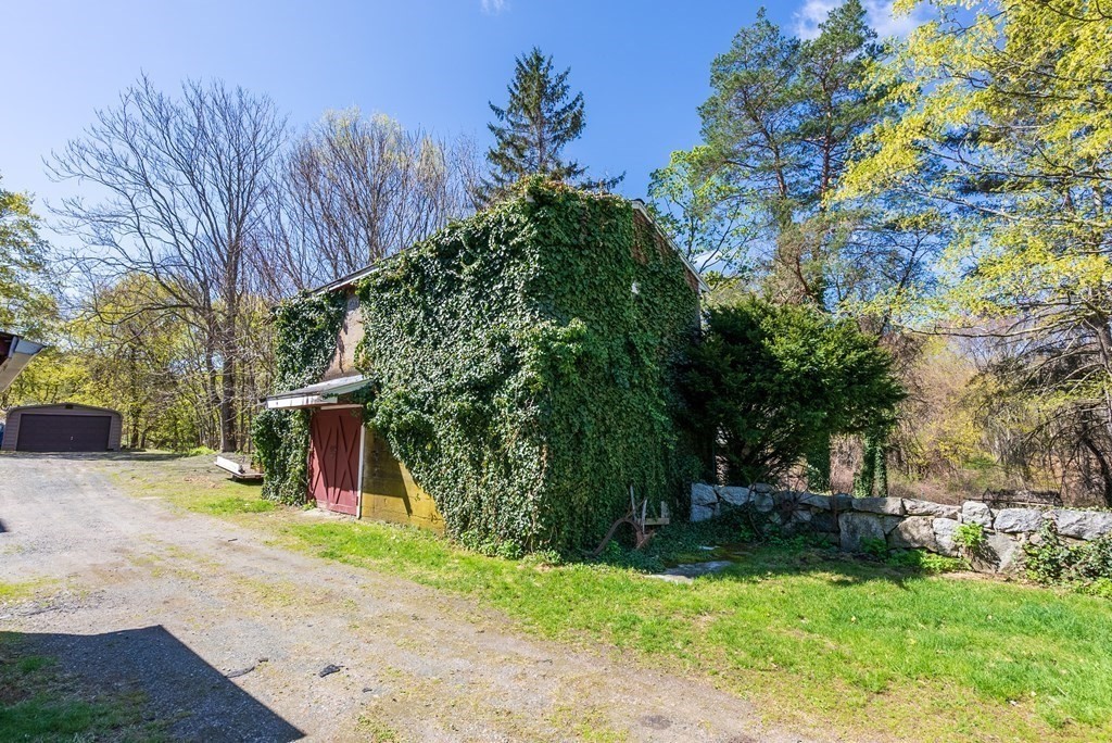 357 Commonwealth Road Wayland, MA 01778 - Photo 26 of 33 a view of a park with plants and trees