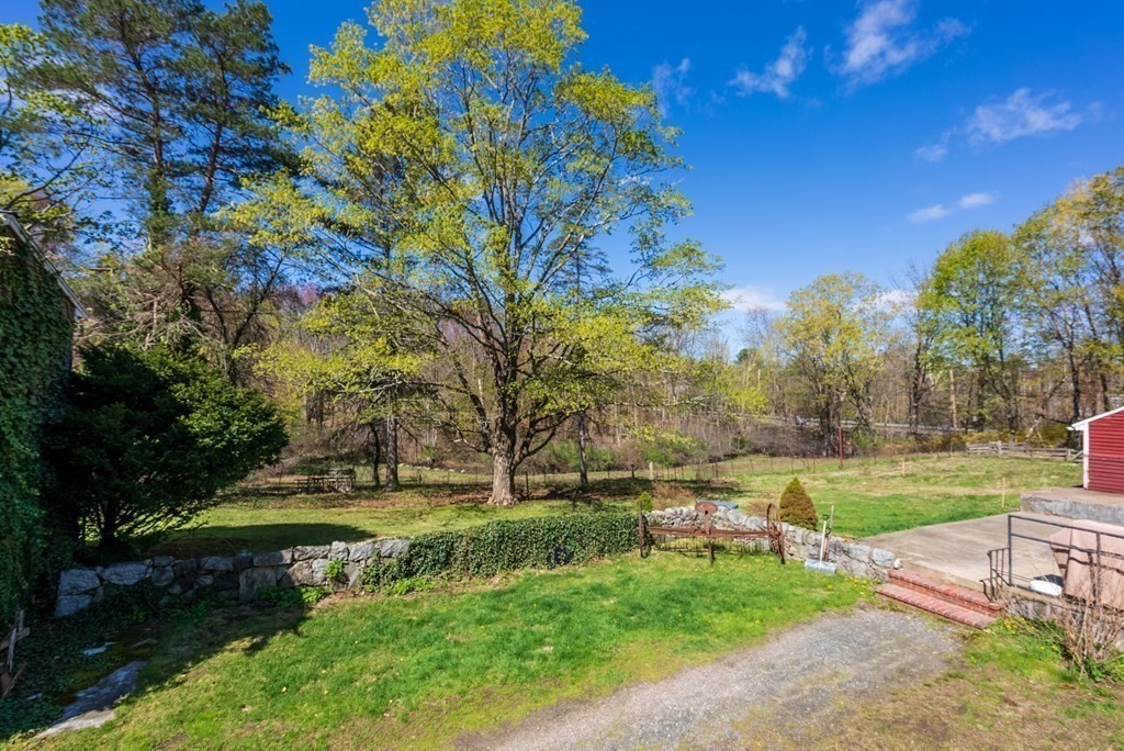357 Commonwealth Road Wayland, MA 01778 - Photo 27 of 33 a view of a park with large trees
