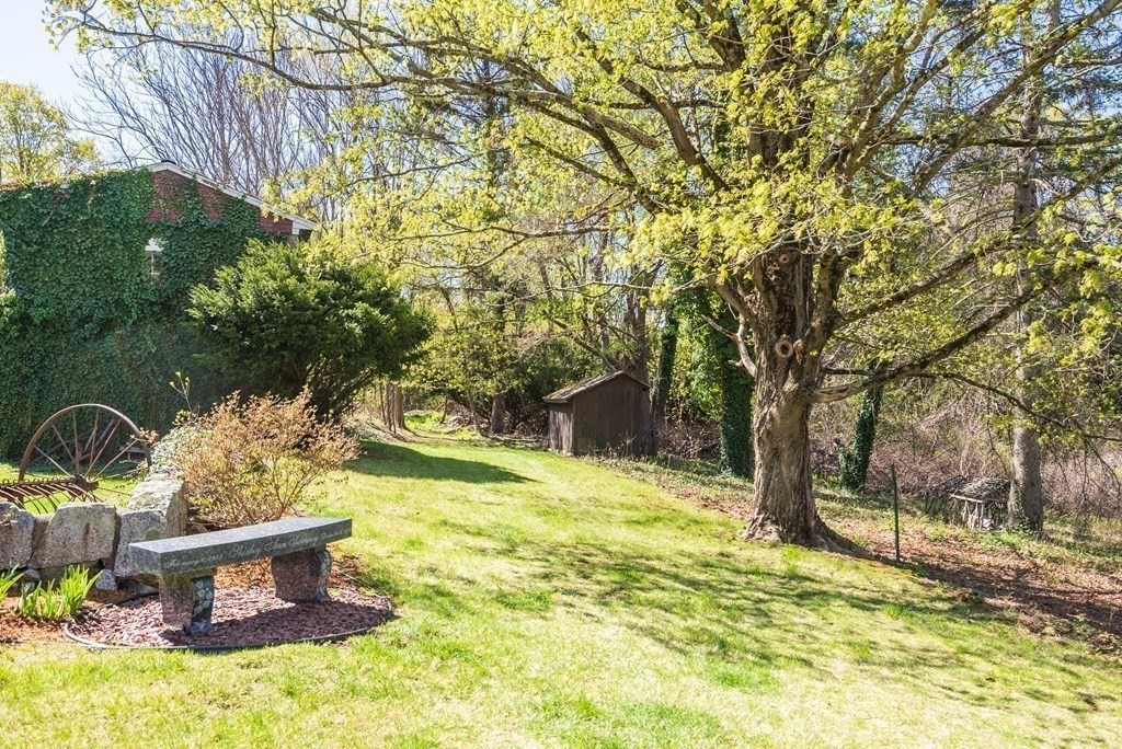 357 Commonwealth Road Wayland, MA 01778 - Photo 29 of 33 a view of a yard with plants