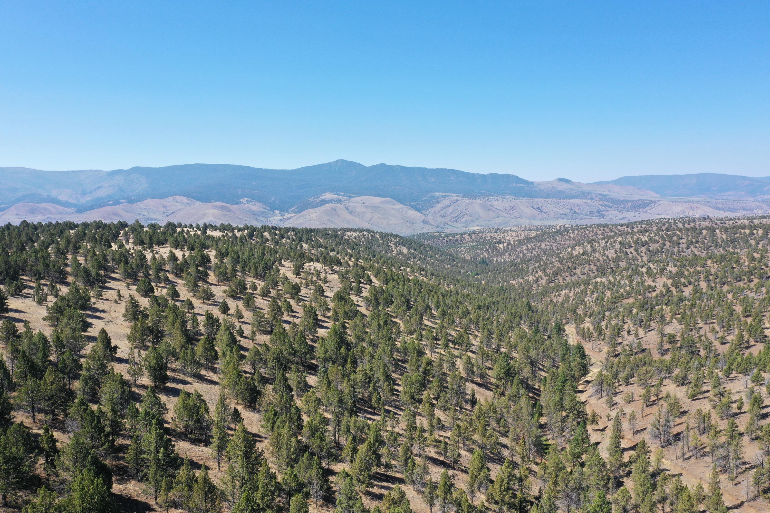 2400 Wiley Creek Road Mount Vernon, OR 97865 - Photo 33 of 34 DJI_0397
