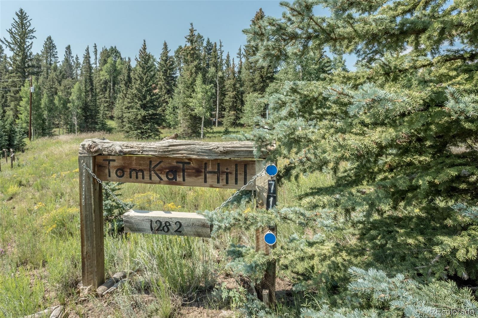 719 Singletree Road Hartsel, CO 80449 - Photo 5 of 40