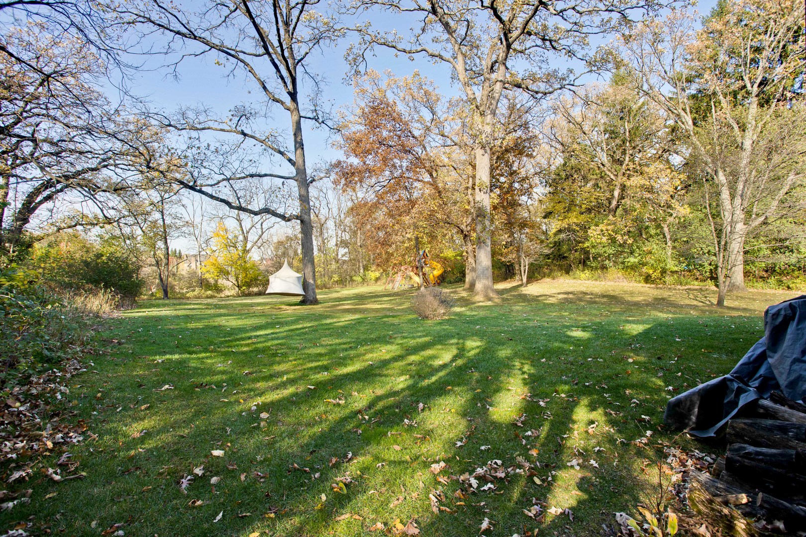 20890 West Exeter Road Kildeer, IL 60047 - Photo 49 of 62 a view of yard with green space