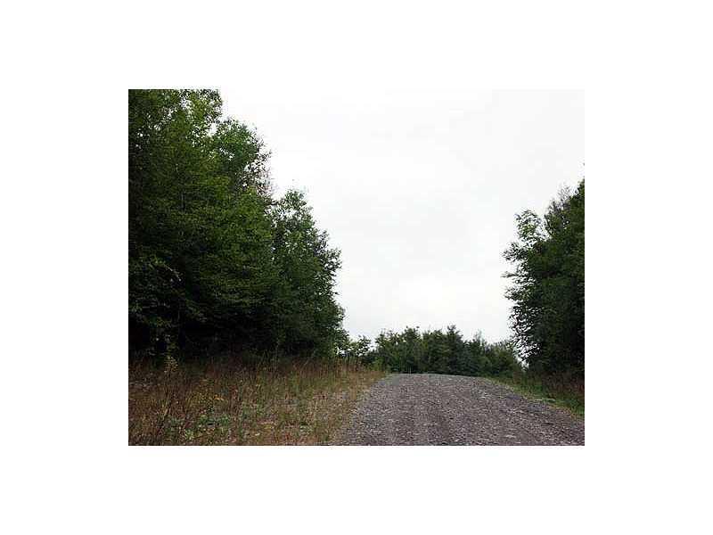 Lot 6 Estabrook Road Amity, ME 04471 - Photo 8 of 20 Land.