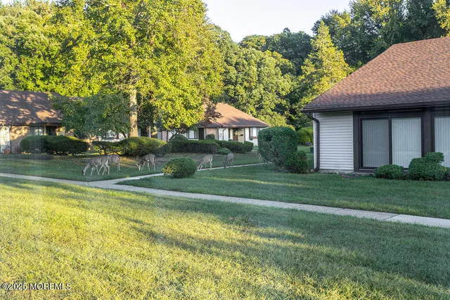 a view of house with a big yard