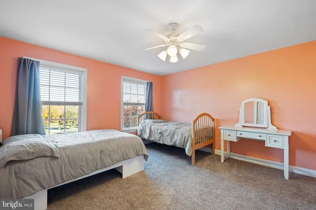 a view of a park with large trees