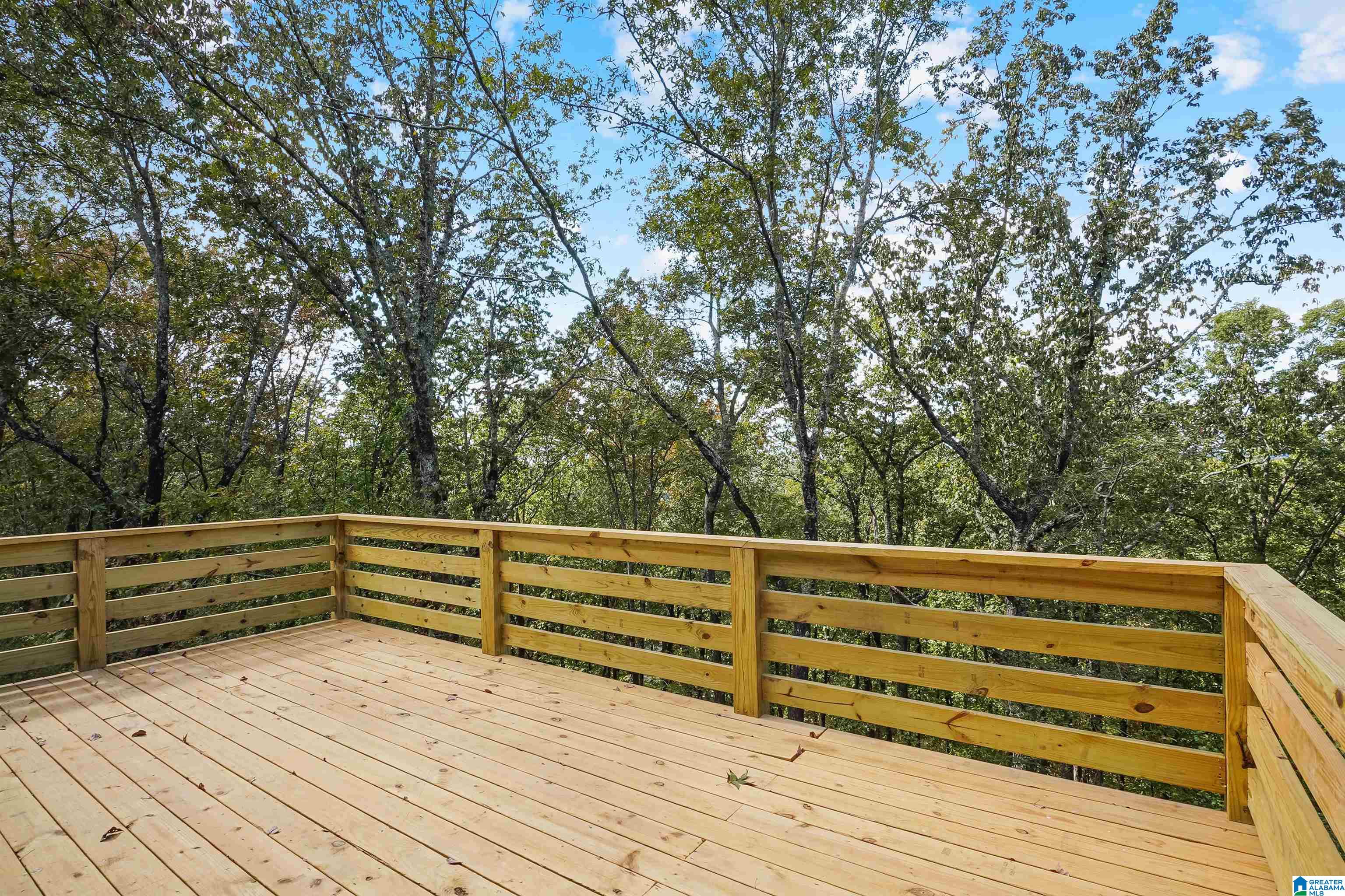 4740 South Shades Crest Road Helena, AL 35022 - Photo 43 of 58