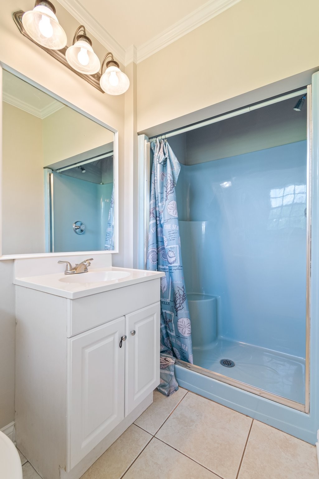 1586 Coleman Road Franklin, TN 37064 - Photo 29 of 73 a bathroom with a sink a toilet and shower