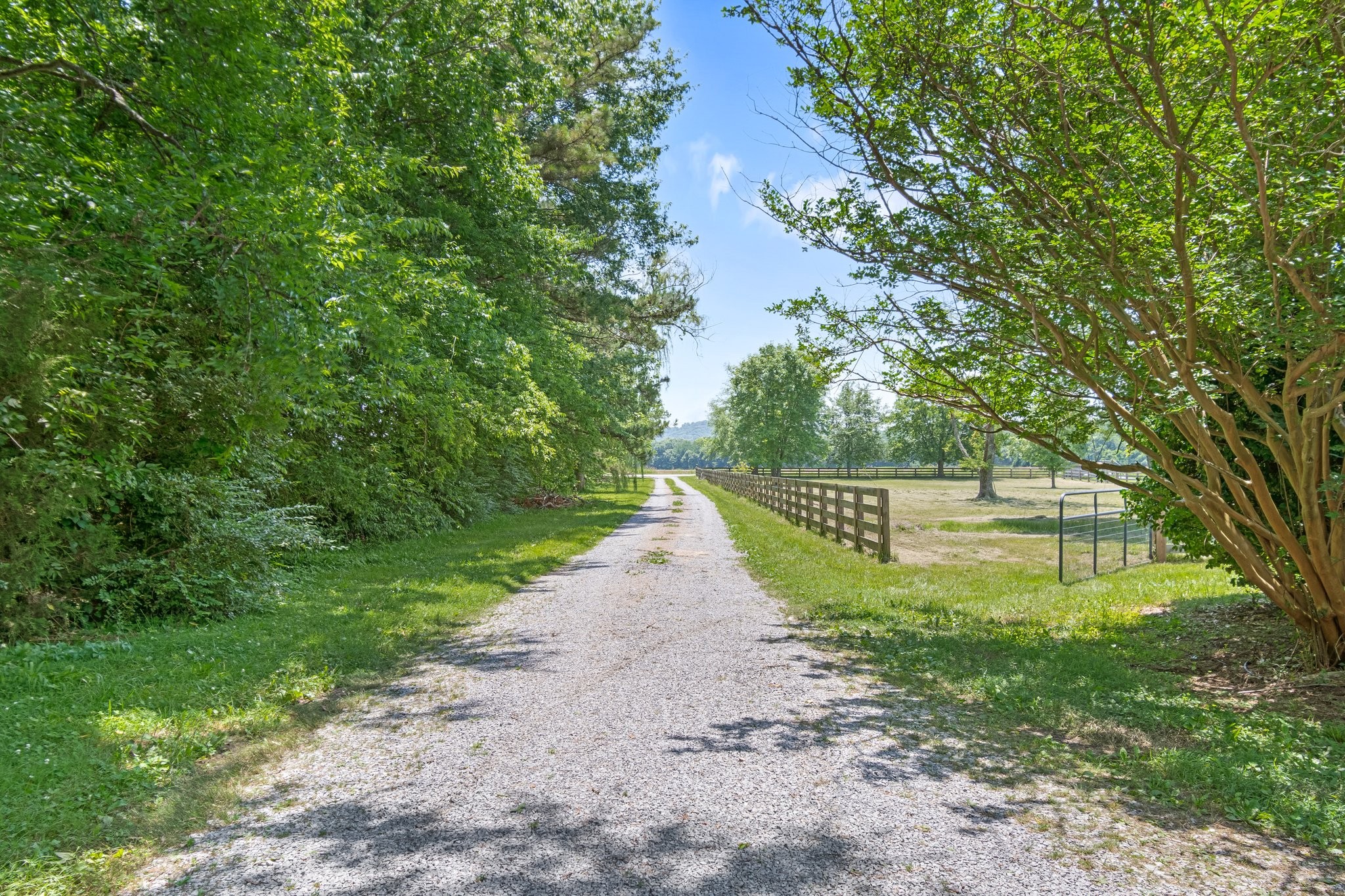 1586 Coleman Road Franklin, TN 37064 - Photo 34 of 73