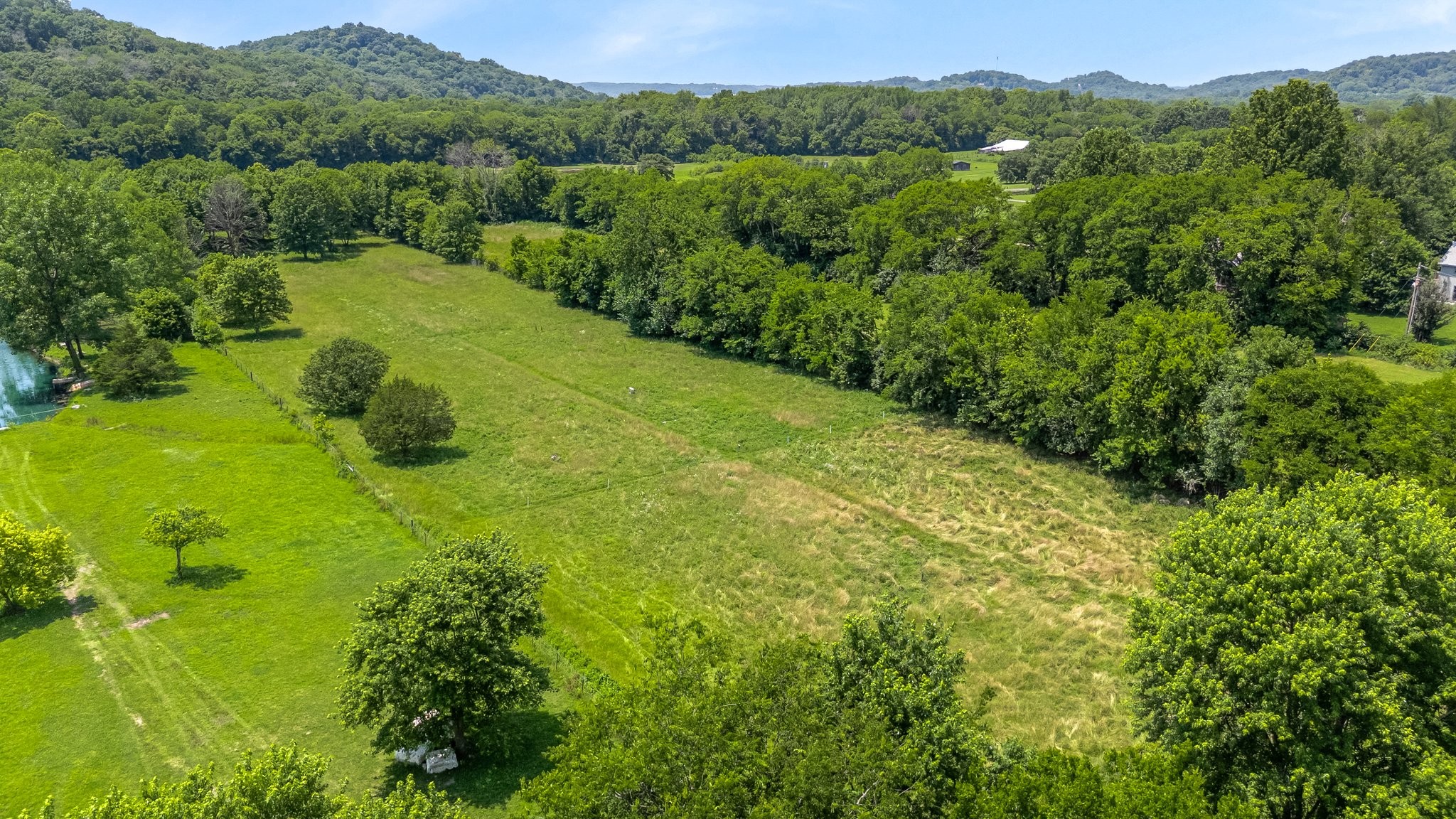 1586 Coleman Road Franklin, TN 37064 - Photo 63 of 73 a view of a lush green forest with a lake