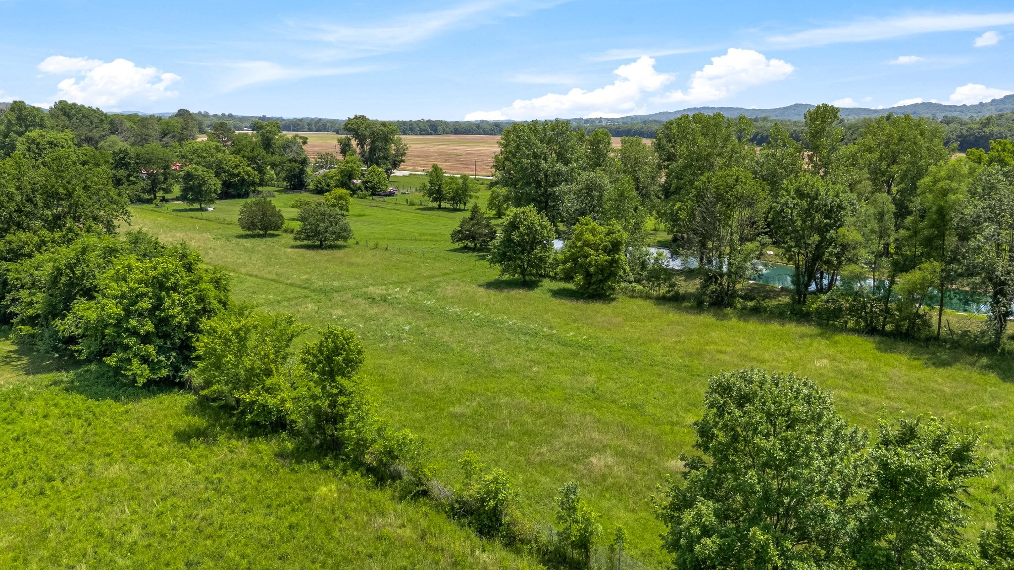 1586 Coleman Road Franklin, TN 37064 - Photo 64 of 73 a view of a big yard with large trees