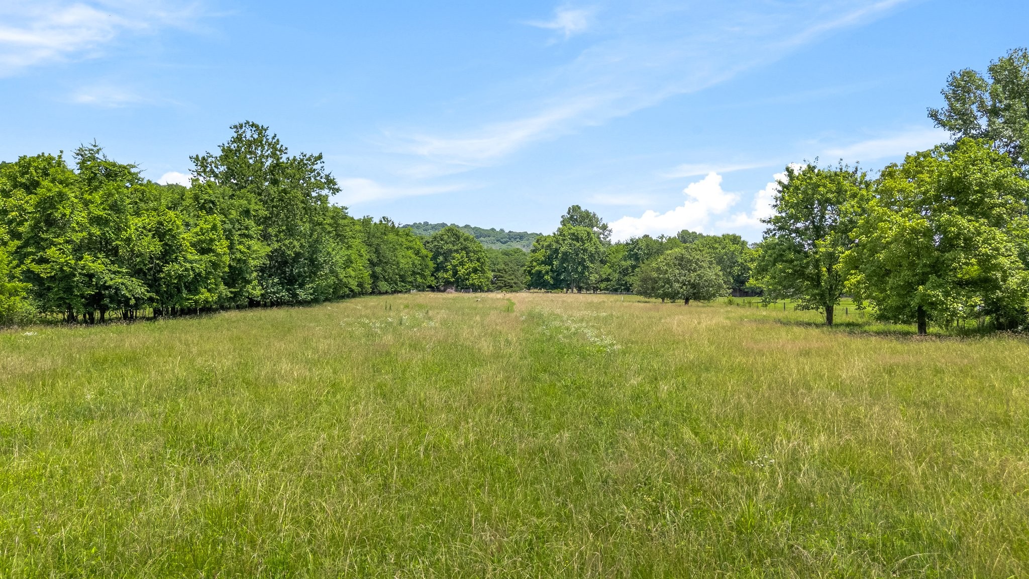 1586 Coleman Road Franklin, TN 37064 - Photo 65 of 73 a view of yard with swimming pool and green space