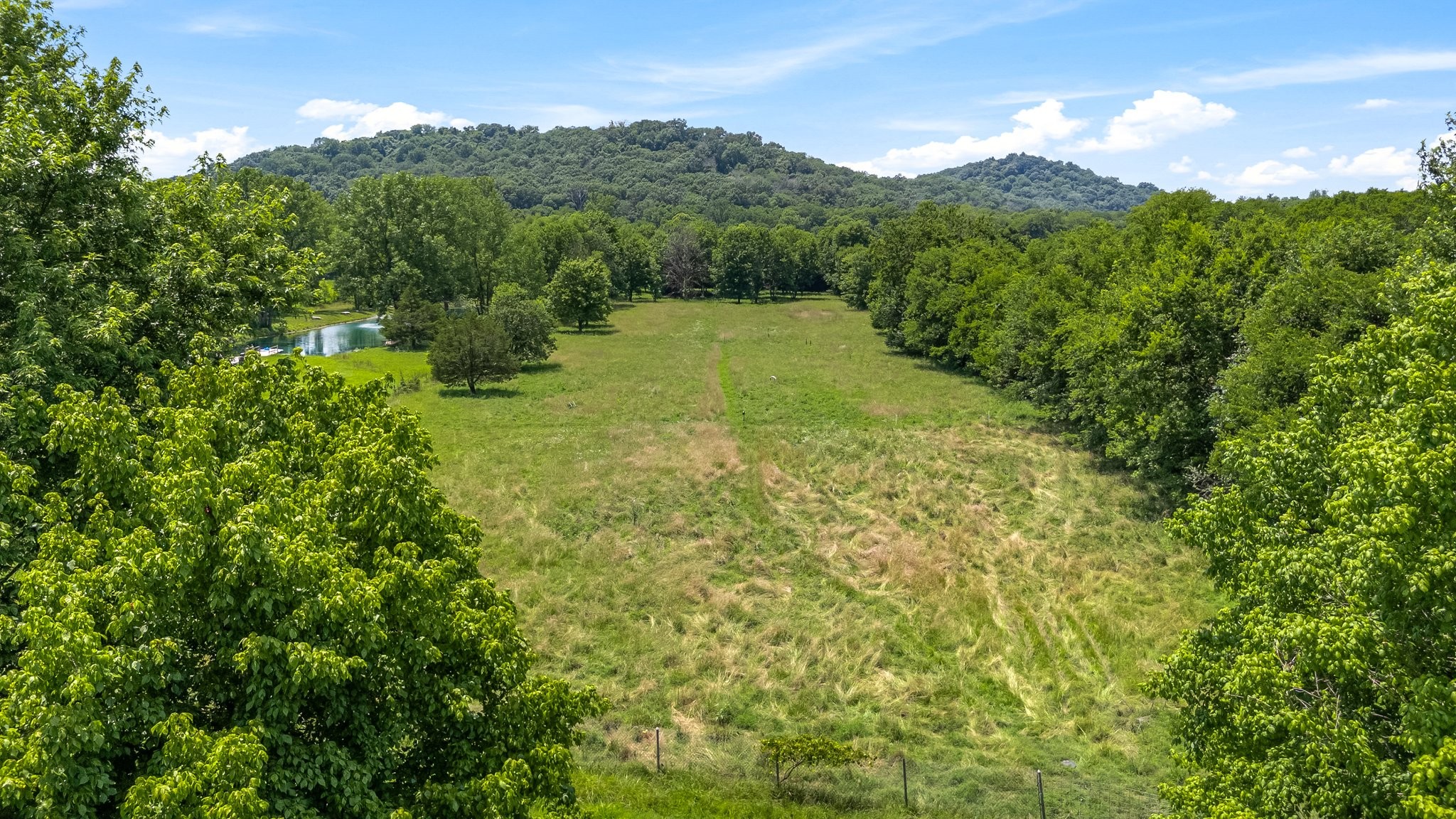 1586 Coleman Road Franklin, TN 37064 - Photo 66 of 73 a view of a lush green forest with trees in the background