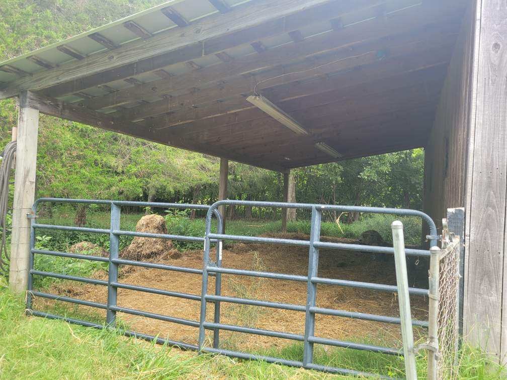 1586 Coleman Road Franklin, TN 37064 - Photo 70 of 73