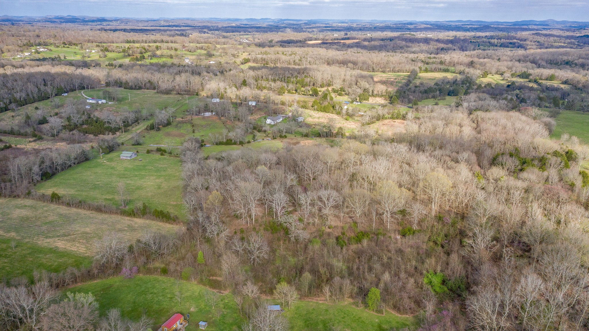166 Preacher Robertson Road Castalian Springs, TN 37031 - Photo 11 of 26 Gallery Image 11