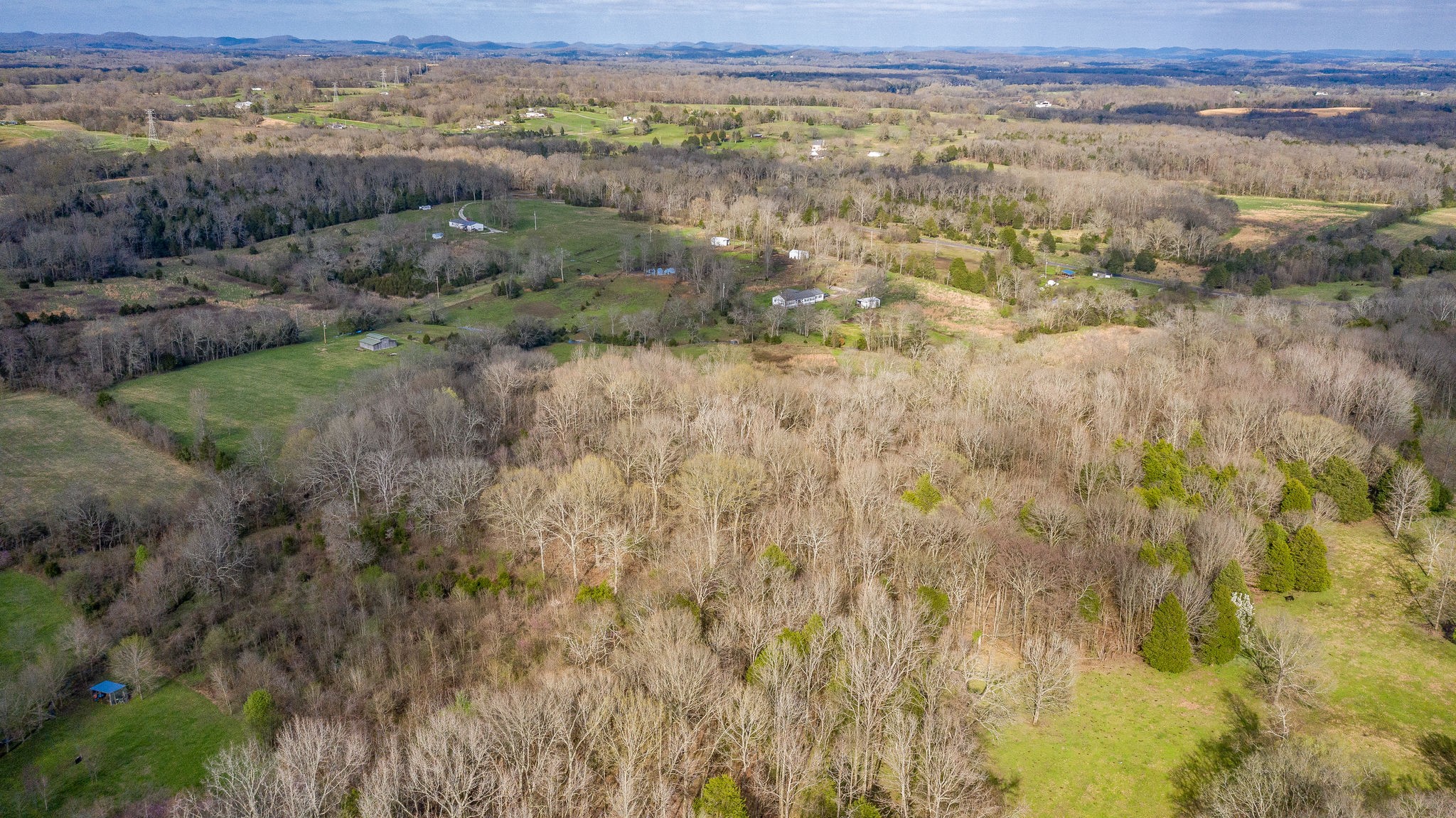 166 Preacher Robertson Road Castalian Springs, TN 37031 - Photo 13 of 26 Gallery Image 13