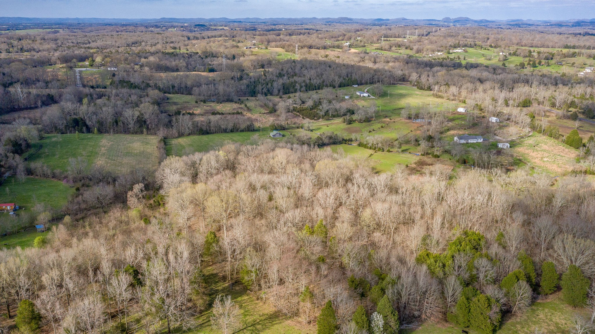 166 Preacher Robertson Road Castalian Springs, TN 37031 - Photo 15 of 26 Gallery Image 15