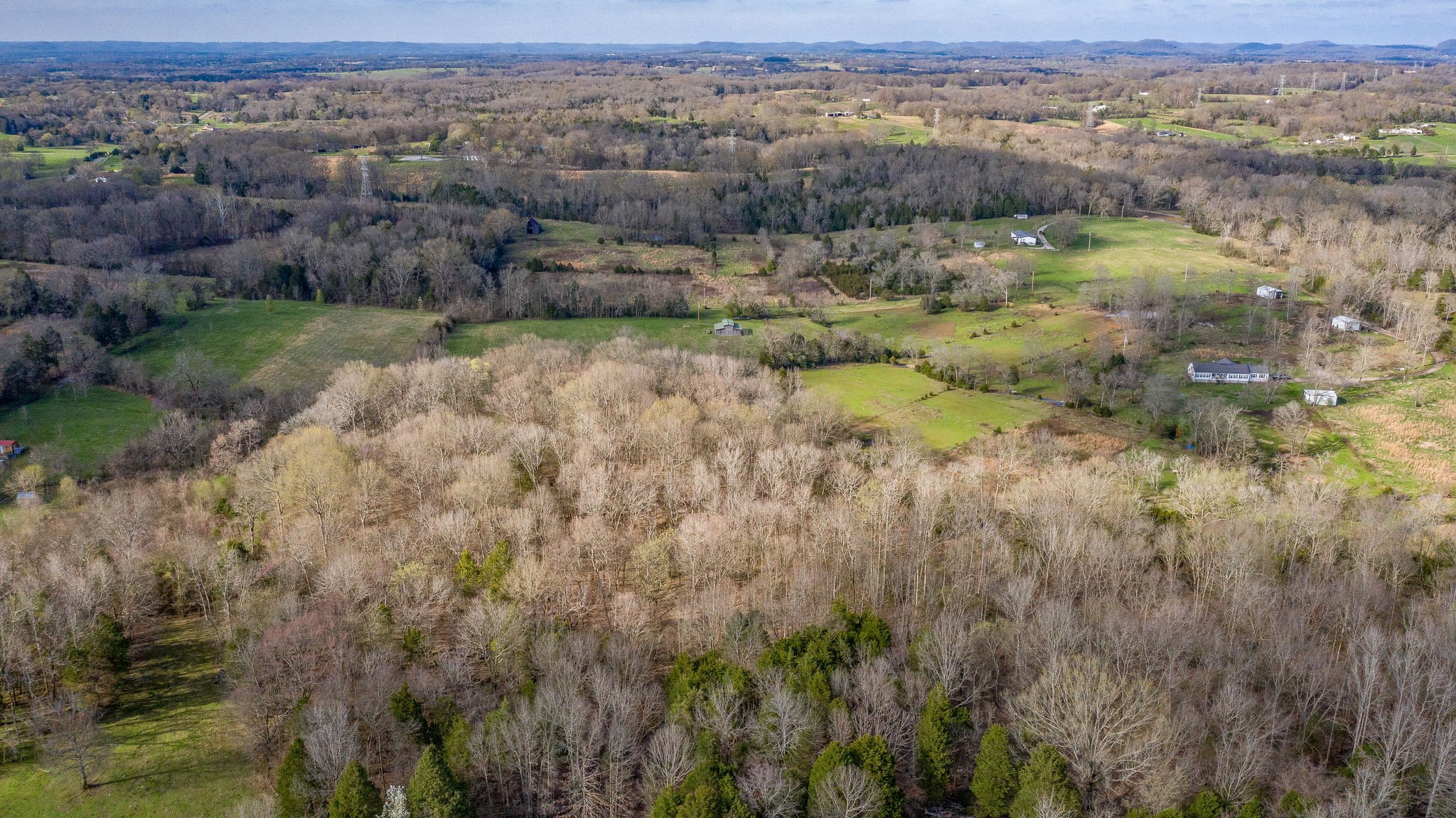 166 Preacher Robertson Road Castalian Springs, TN 37031 - Photo 16 of 26 Gallery Image 16